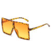 Big Box Sunglasses
