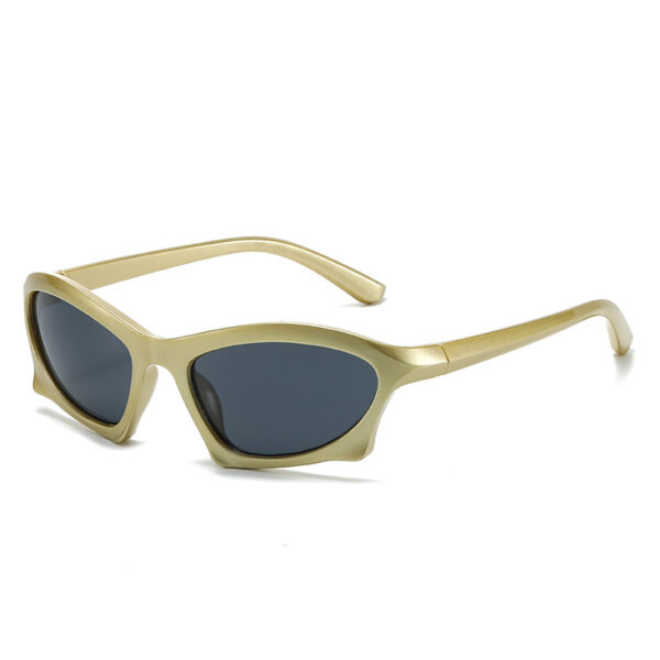 Modern Retro Geometric Sunglasses Trendy Street Shooting INS Style Poster Sunglasses Female
