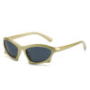 Modern Retro Geometric Sunglasses Trendy Street Shooting INS Style Poster Sunglasses Female