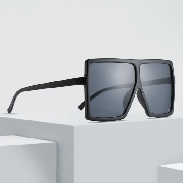 Big Box Sunglasses