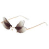 Dragonfly Wings Sunglasses Female Prom Catwalk Exaggerated Gradient Sunglasses Cross-border Ins Net Red Glasses