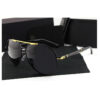 Vision Master Sunglasses