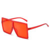 Big Box Sunglasses