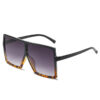 Big Box Sunglasses