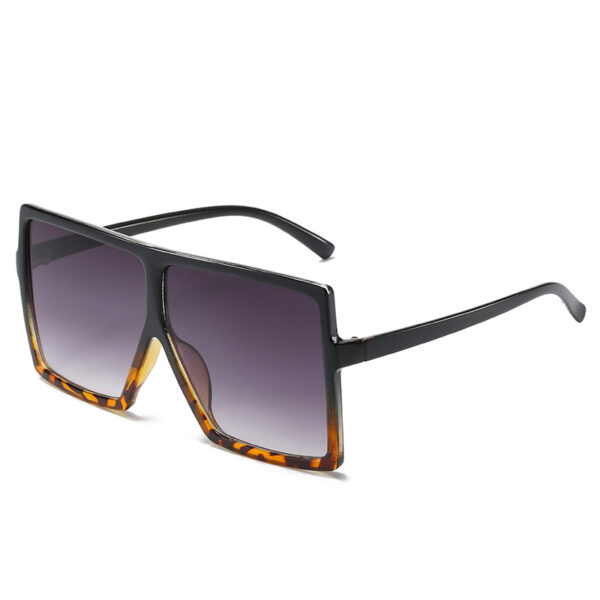 Big Box Sunglasses