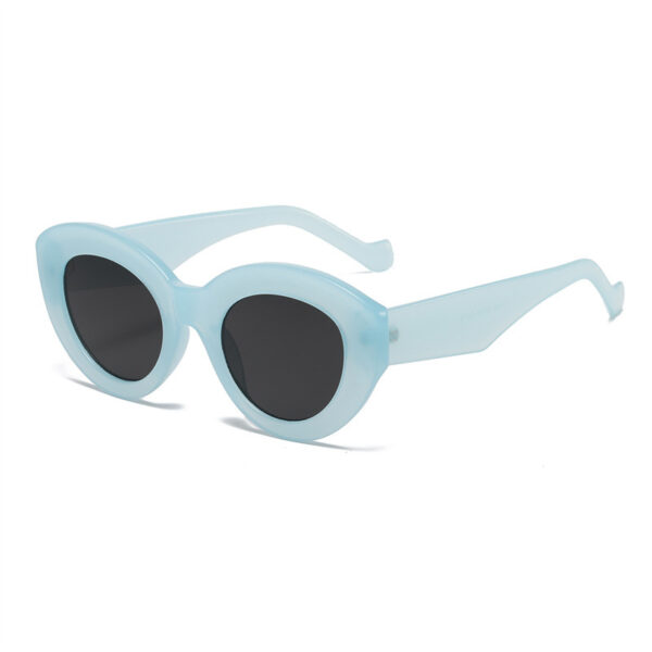 Fashionable Wide-brimmed Cat-eye Sunglasses, New INS Retro Sunglasses, Export Trendy Street Style Sunglasses 5080