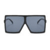 Big Box Sunglasses