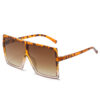 Big Box Sunglasses
