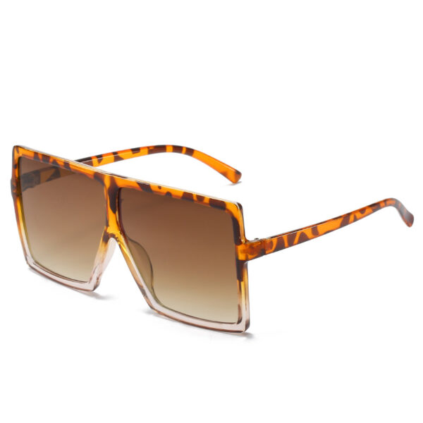 Big Box Sunglasses
