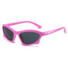 Modern Retro Geometric Sunglasses Trendy Street Shooting INS Style Poster Sunglasses Female