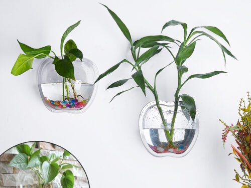 Wall Planter for Home Decor