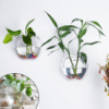 Wall Planter for Home Decor