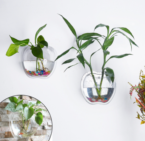 Wall Planter for Home Decor