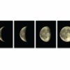 Moon Phases Set Of 4 Wall Decals