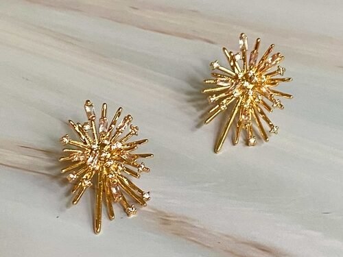 Shines Spreads Stud Earrings