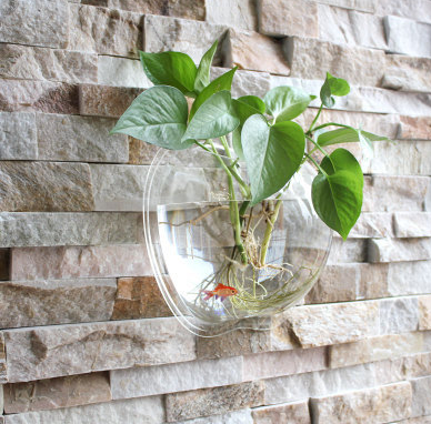 Wall Planter for Home Decor