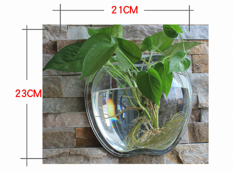 Wall Planter for Home Decor