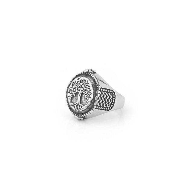 Men's Stainless Steel Fashion Totem Ring